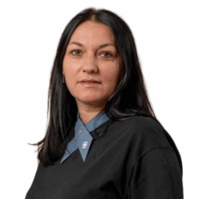 Alina Donici, Co-Fondator Artesana