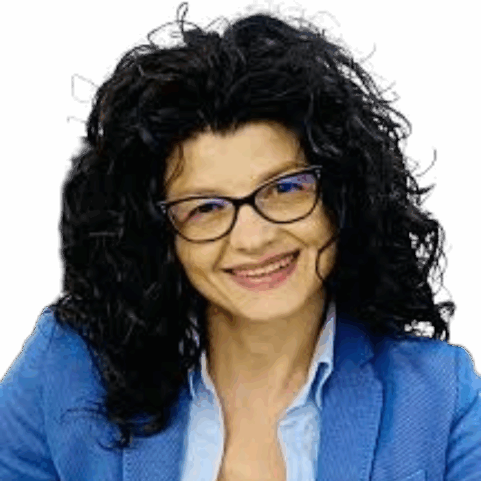 Irina Susanu, Profesor în cadrul Universității Dunărea de Jos
